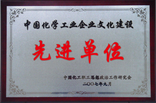 中国化学工业乐动网页版建设先进单位